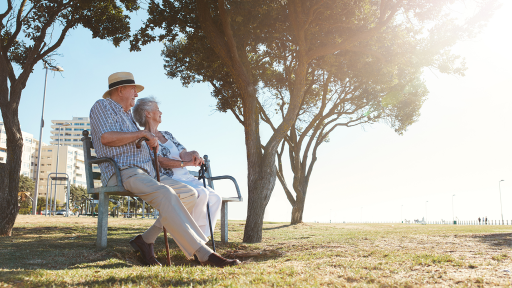 dutch pension system